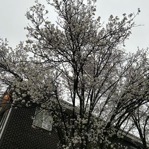 Meet your Posher, Hsinhui